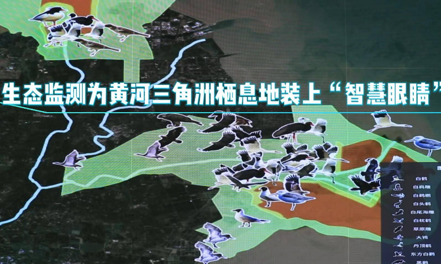 <strong>三角洲高阶玩家群像：从网吧战神到职业传奇，二十载战术射击的铁</strong>